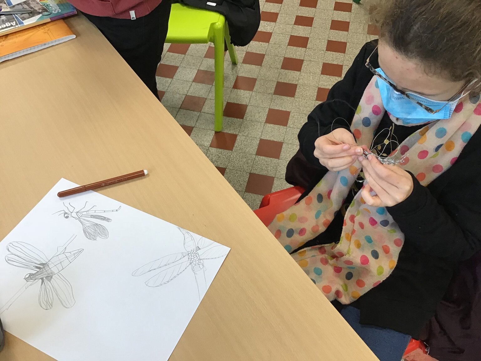 Des insectes surprenants volent audessus de nos têtes en salle d’arts ! Collège Sainte Marie Des insectes surprenants volent audessus de nos têtes en salle d’arts ! Collège Sainte Marie